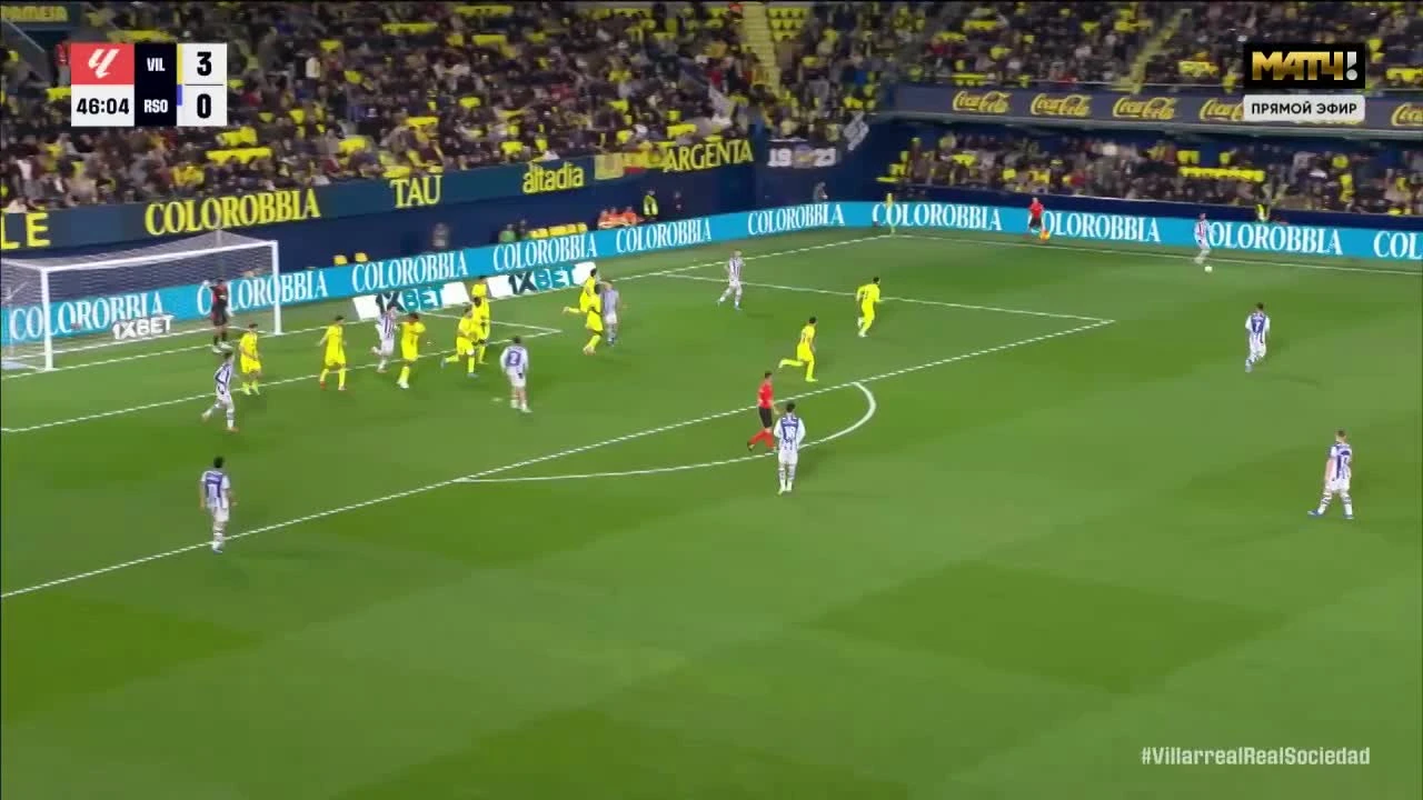 zaslepka skrotu video