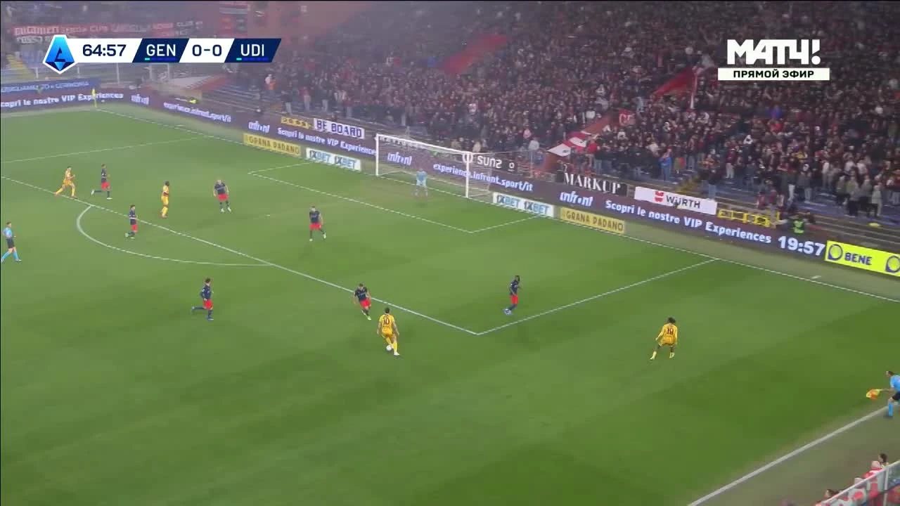 zaslepka skrotu video