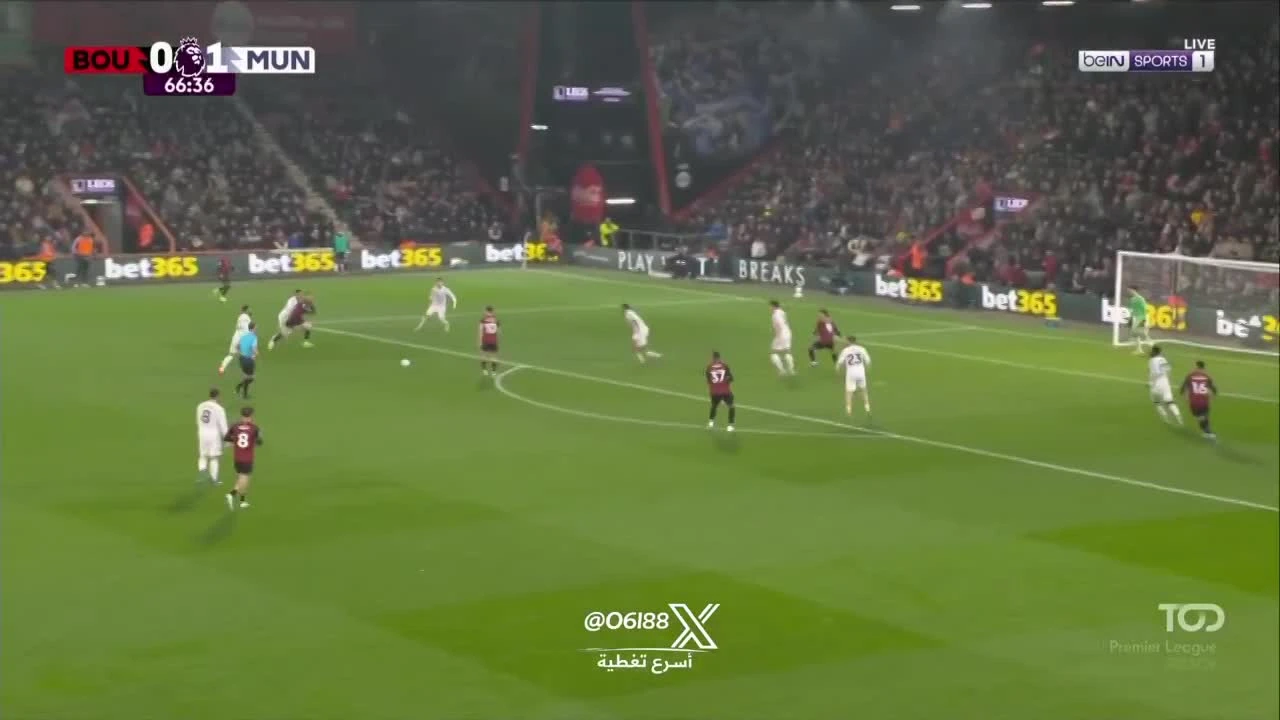 zaslepka skrotu video