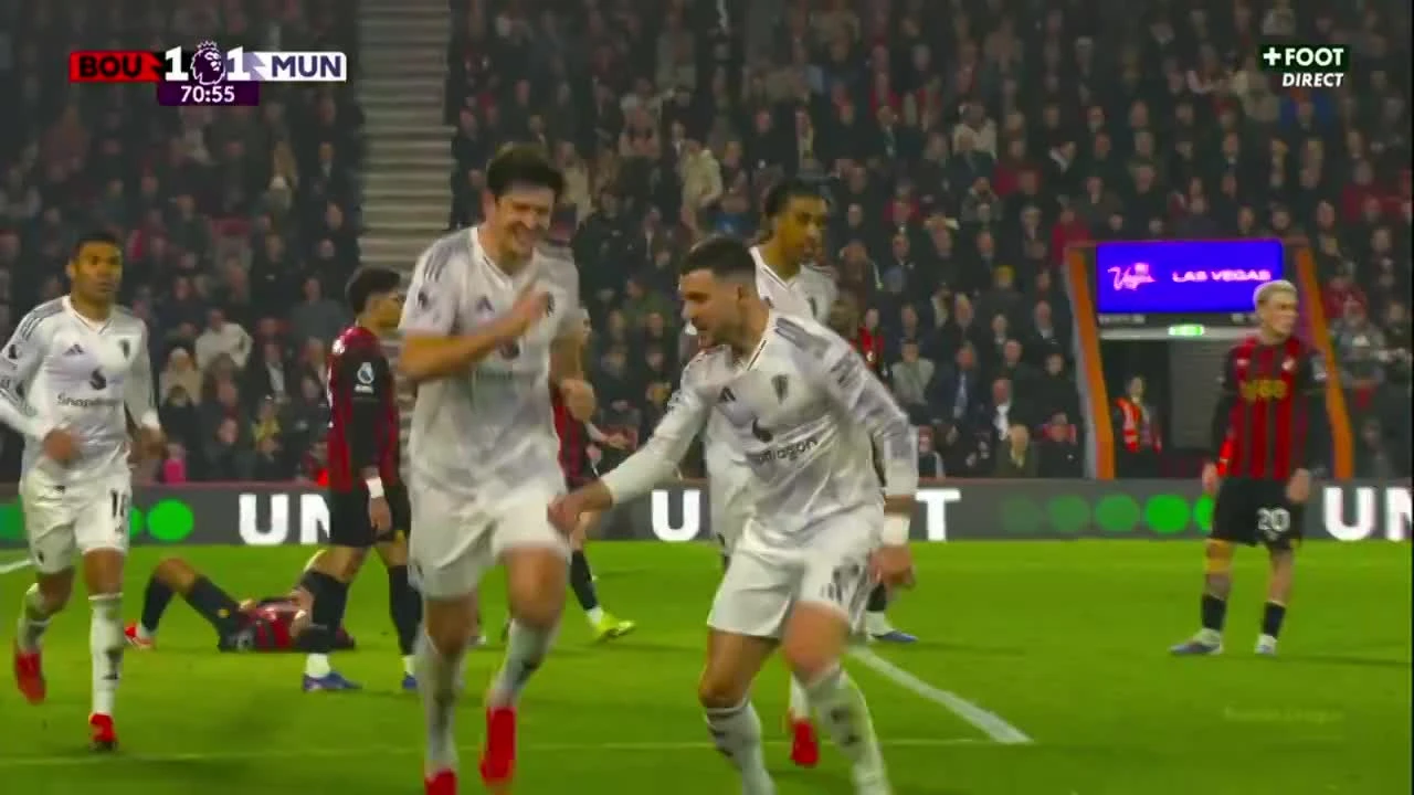 zaslepka skrotu video