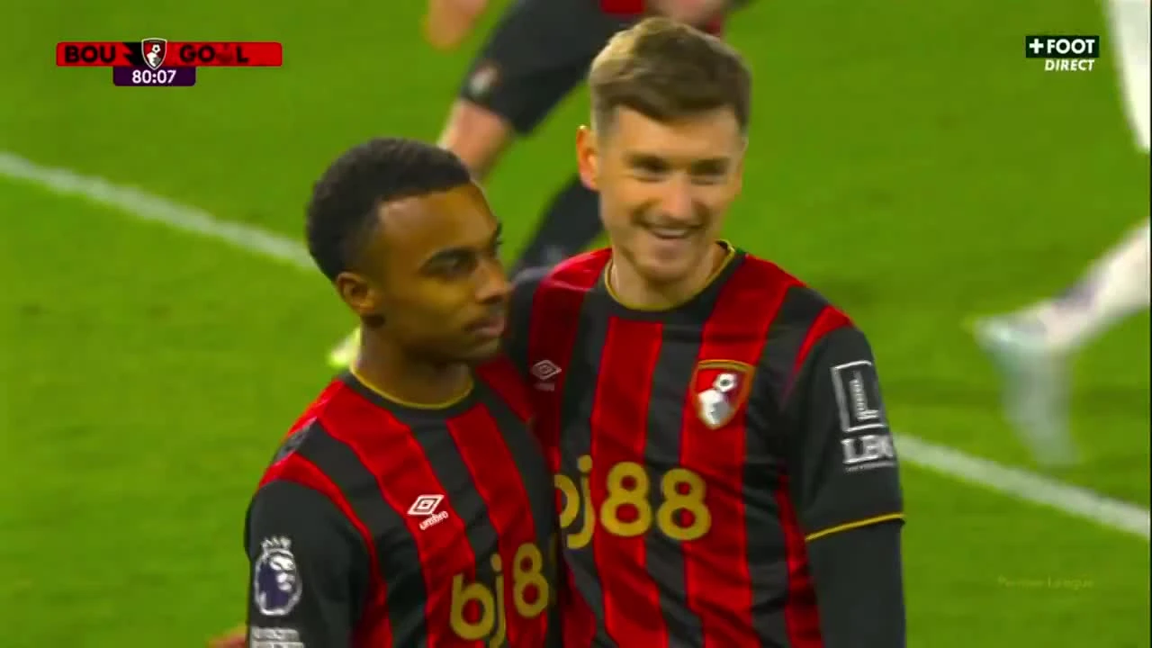 zaslepka skrotu video