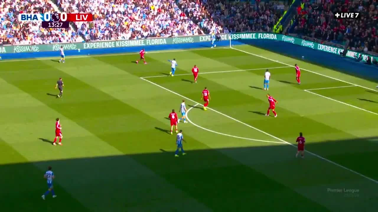 zaslepka skrotu video