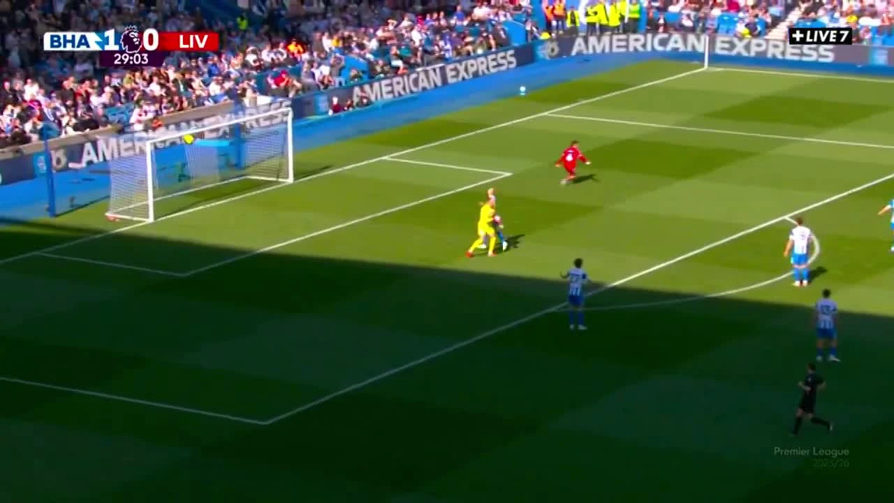 zaslepka skrotu video