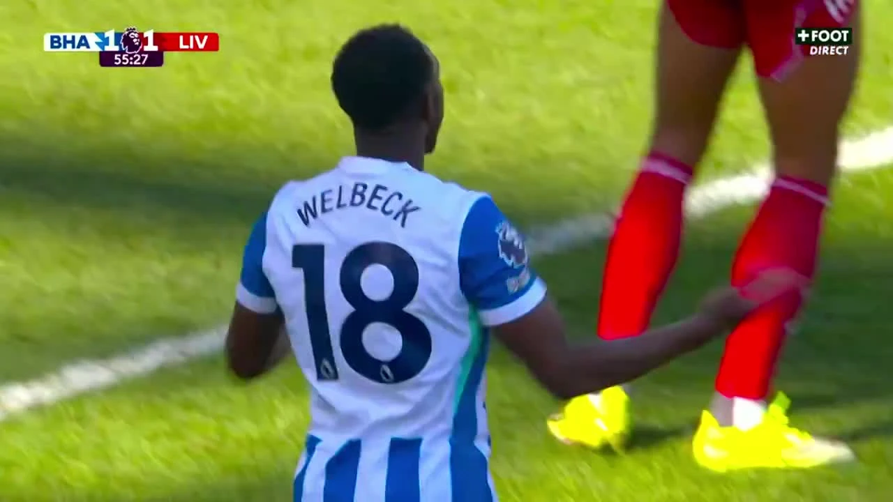 zaslepka skrotu video