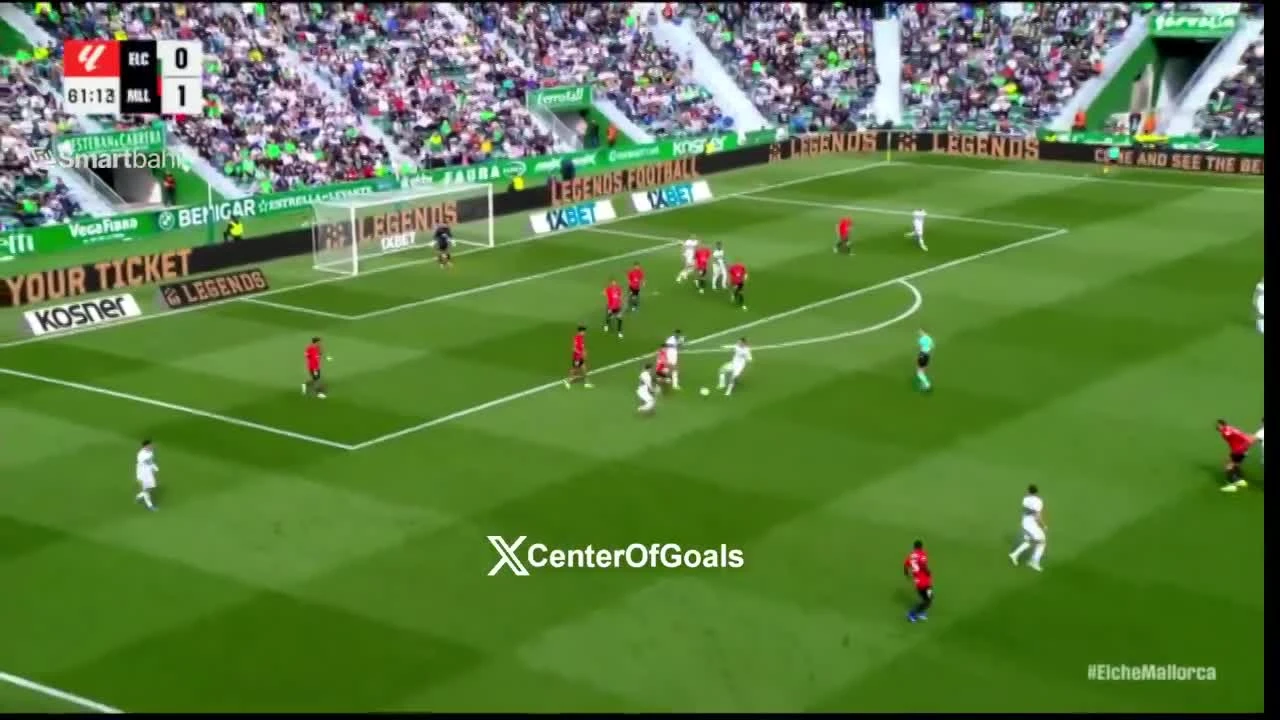 zaslepka skrotu video