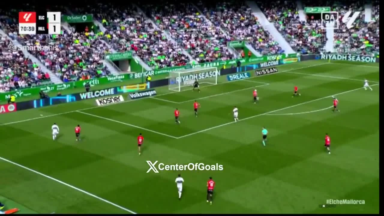 zaslepka skrotu video