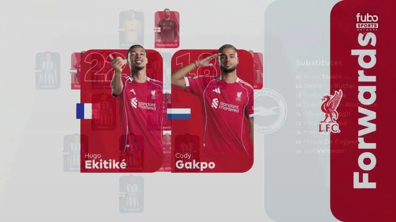 zaslepka skrotu video