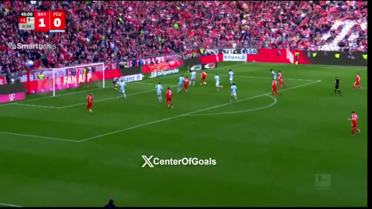 zaslepka skrotu video