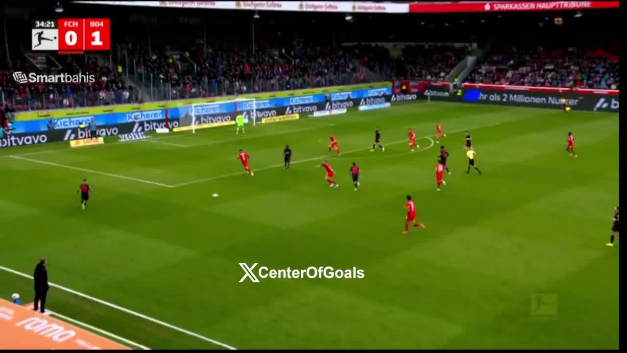 zaslepka skrotu video