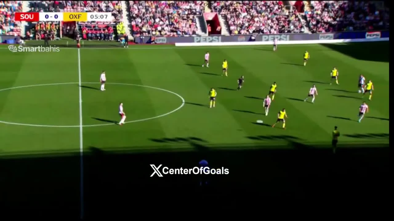 zaslepka skrotu video