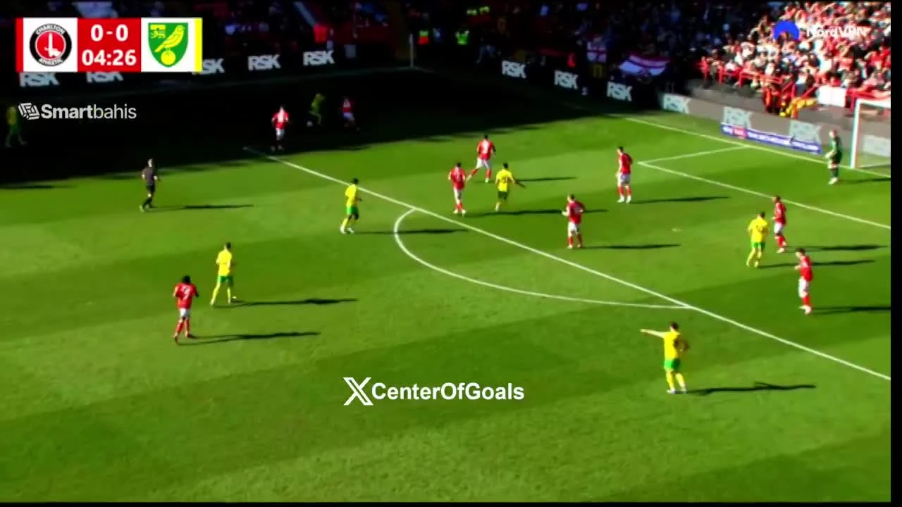 zaslepka skrotu video