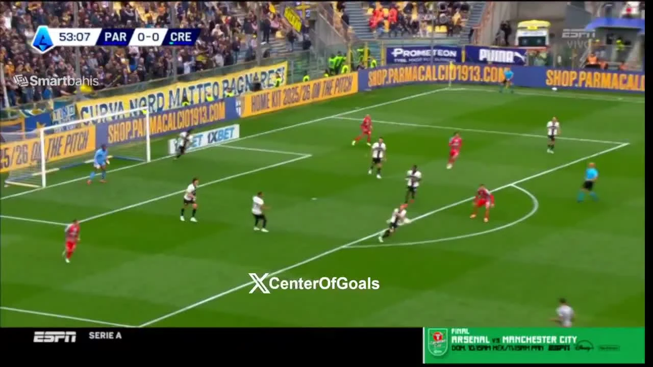 zaslepka skrotu video