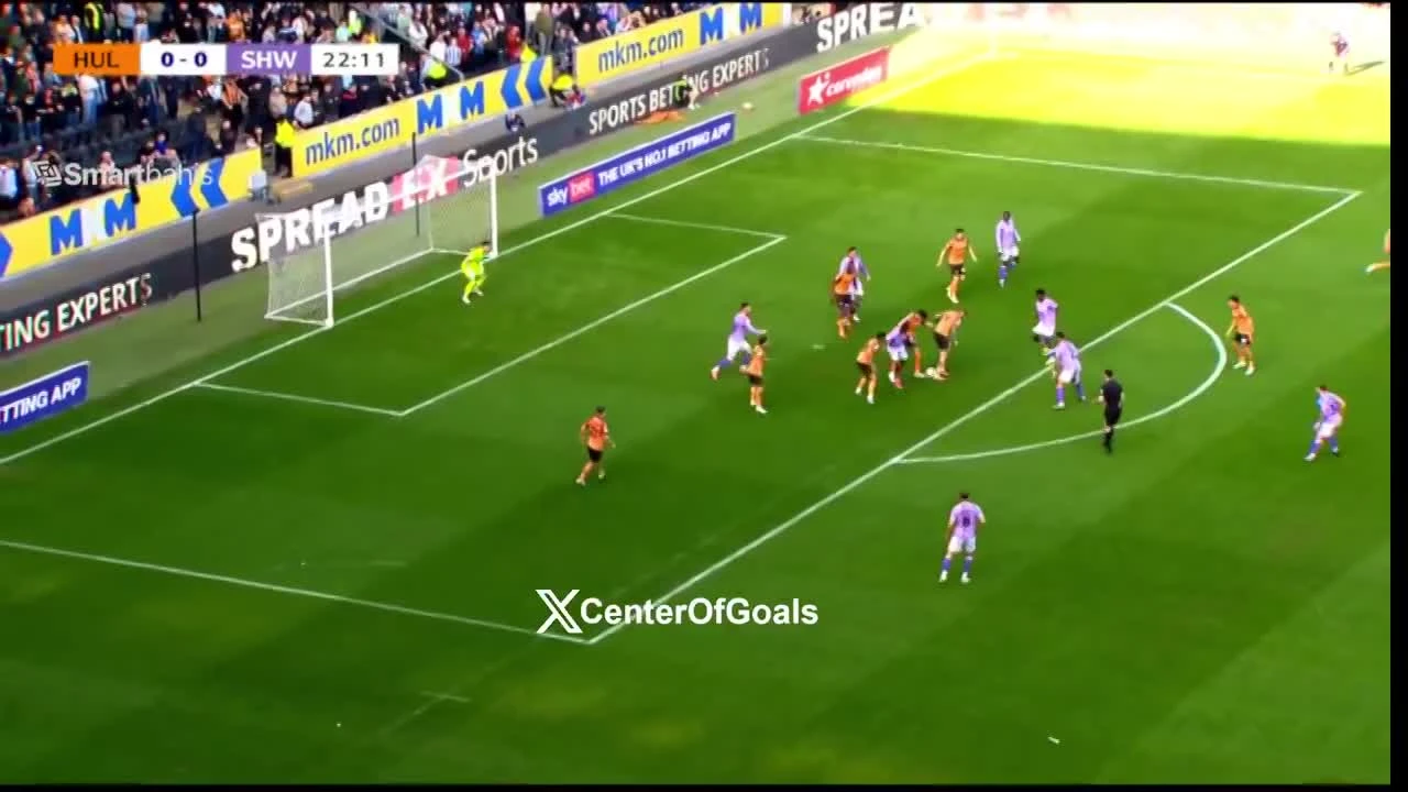 zaslepka skrotu video