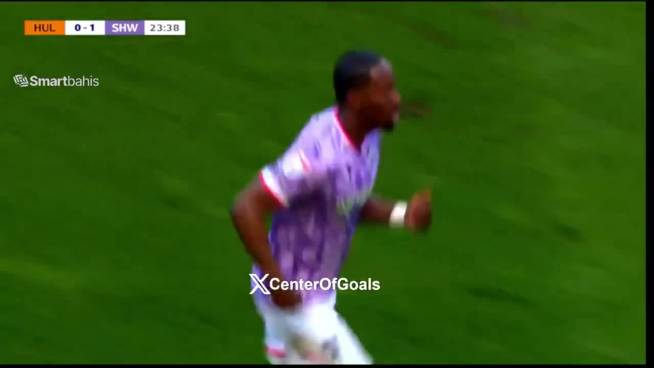 zaslepka skrotu video