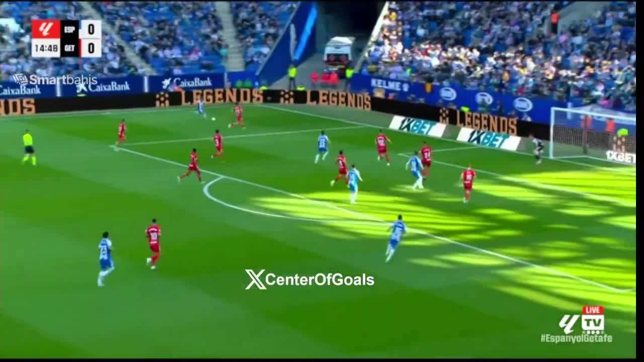 zaslepka skrotu video