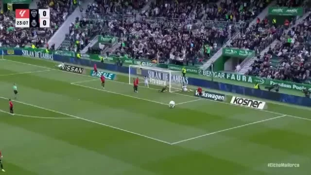 zaslepka skrotu video