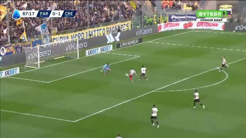 zaslepka skrotu video