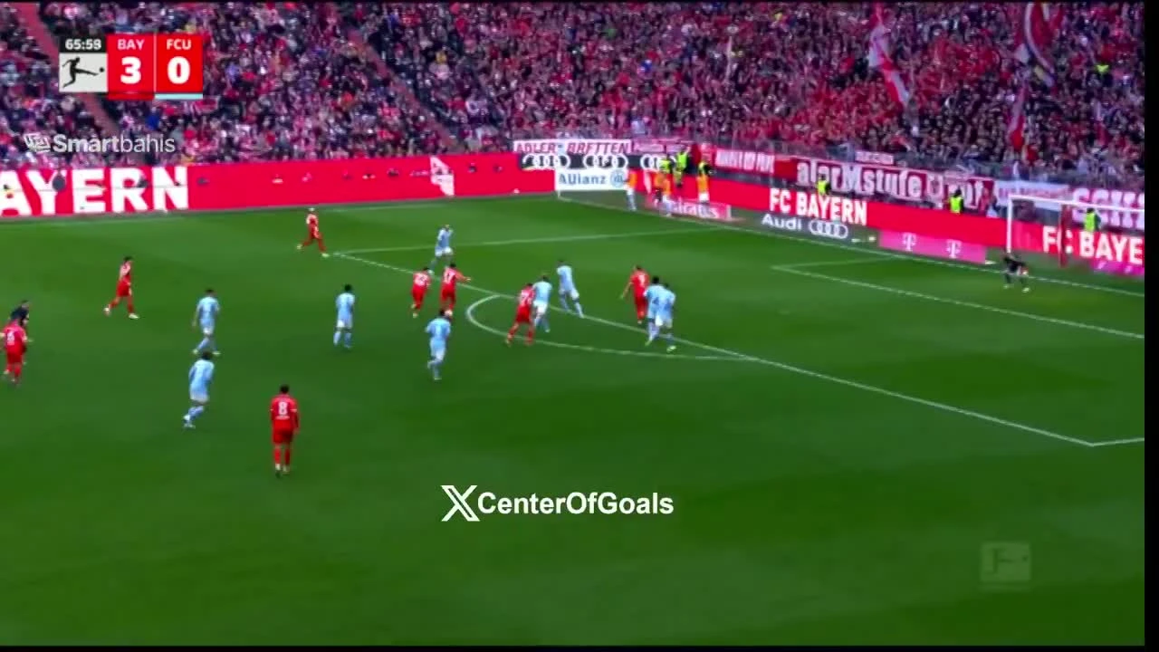 zaslepka skrotu video