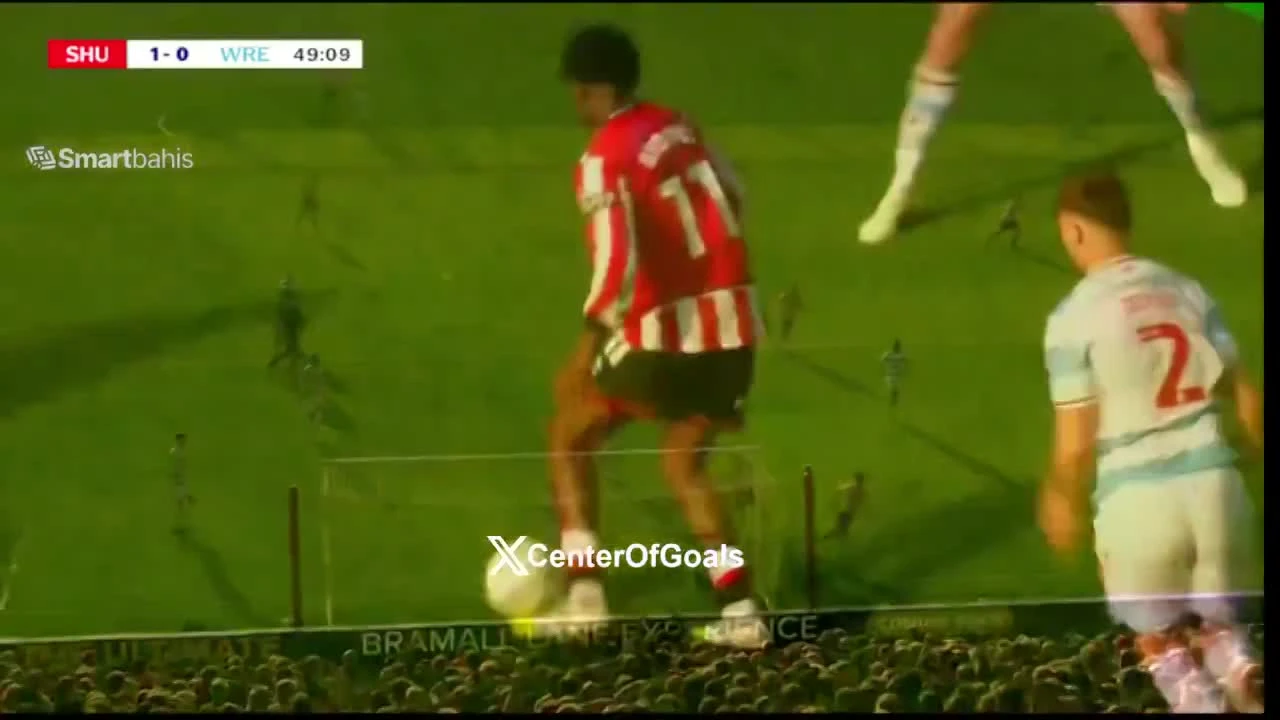 zaslepka skrotu video