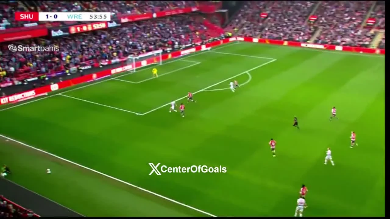 zaslepka skrotu video