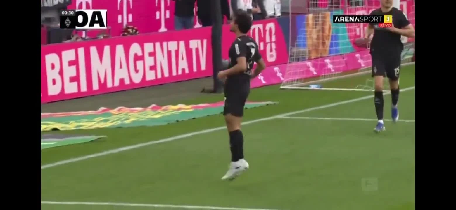 zaslepka skrotu video