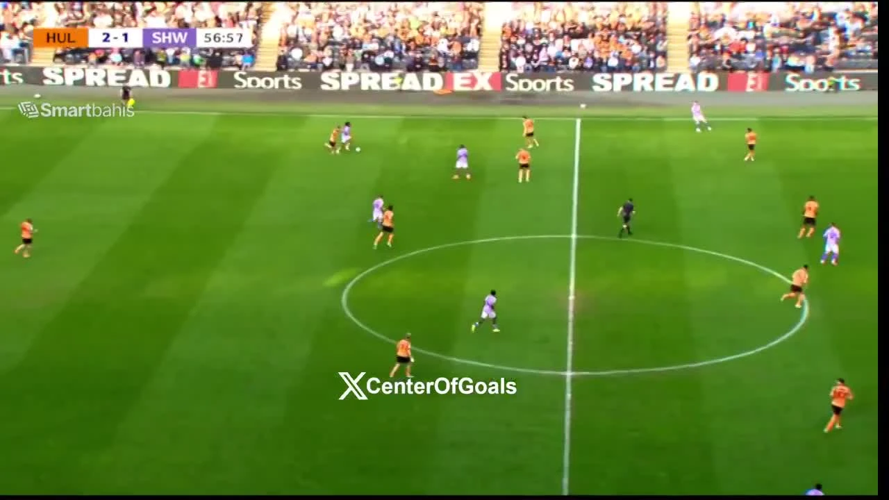 zaslepka skrotu video