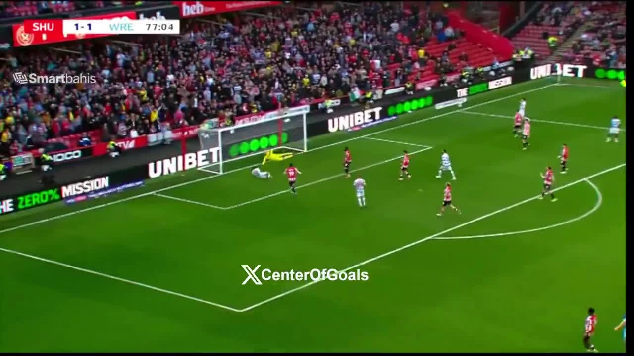 zaslepka skrotu video