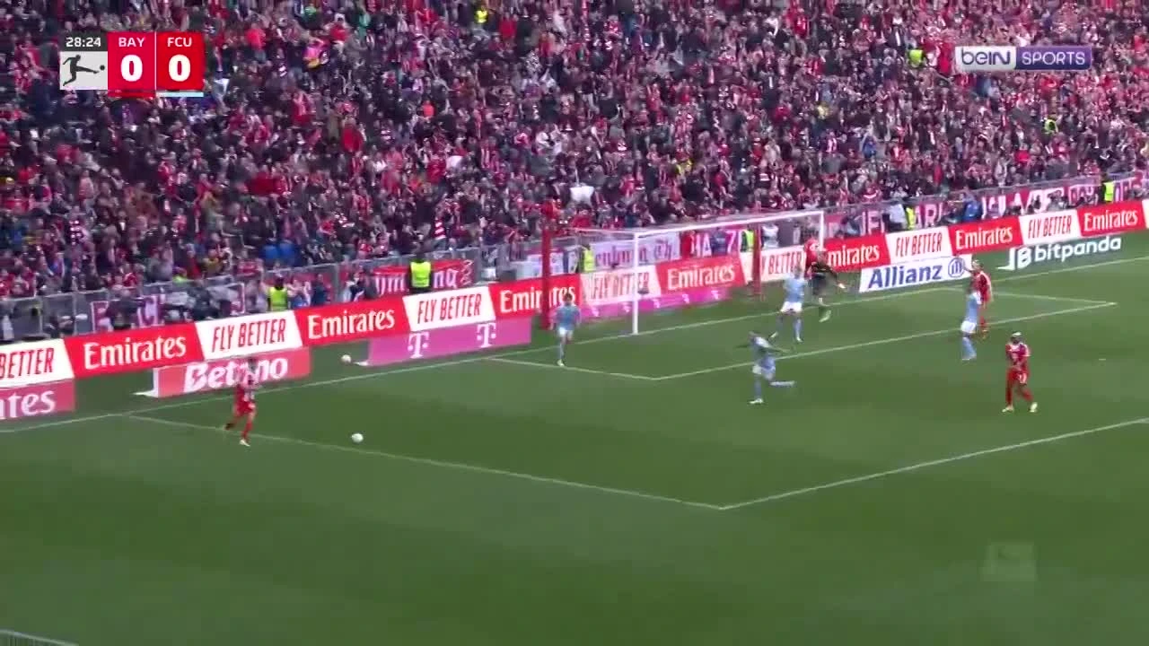 zaslepka skrotu video