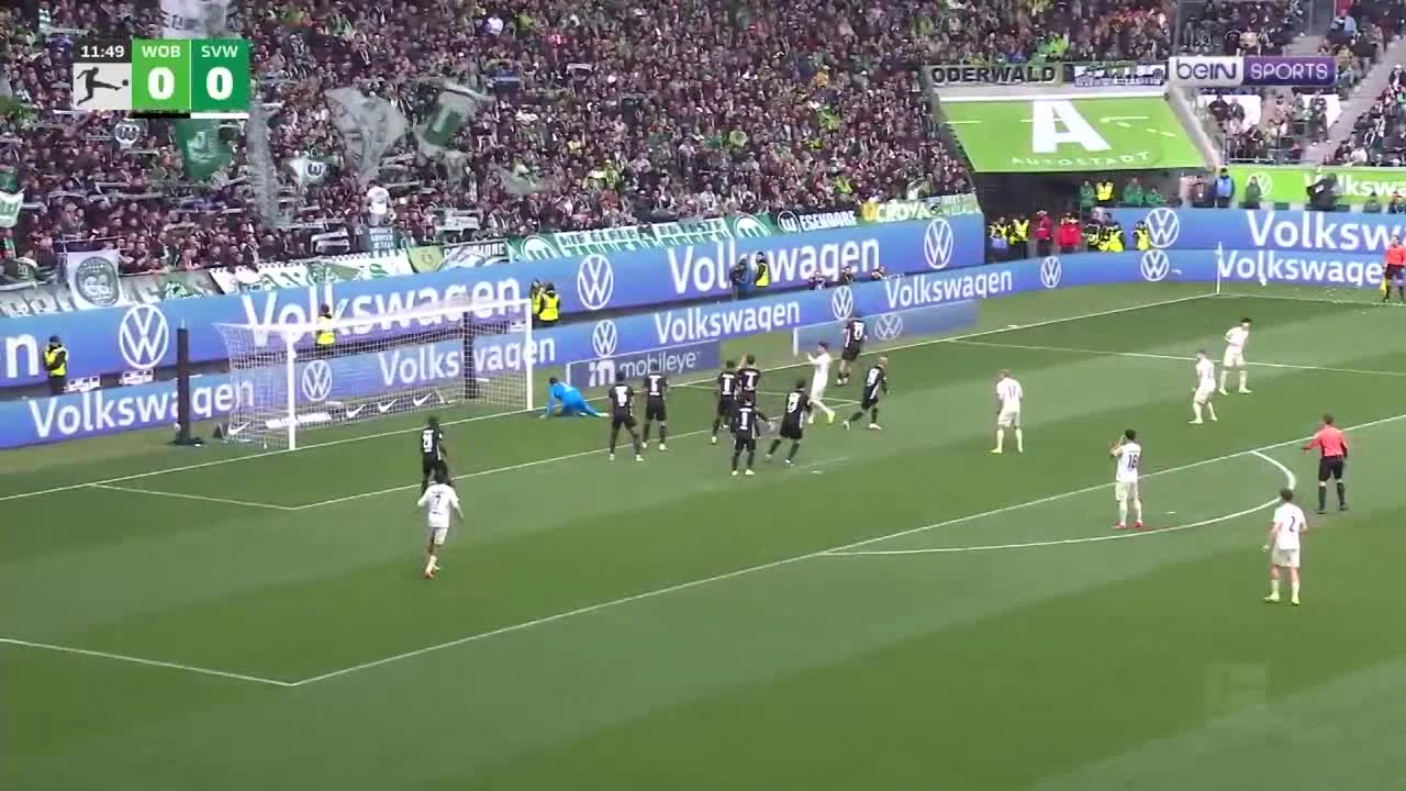 zaslepka skrotu video