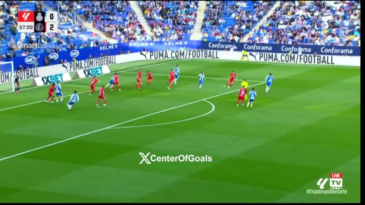 zaslepka skrotu video