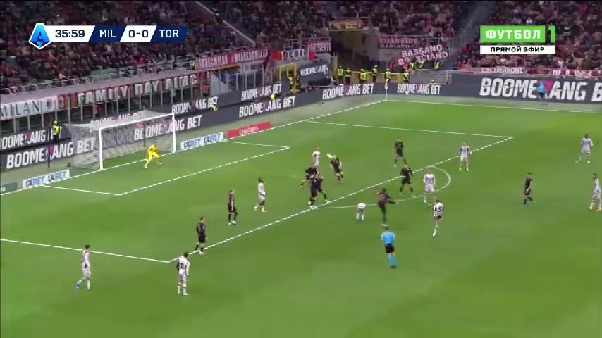 zaslepka skrotu video