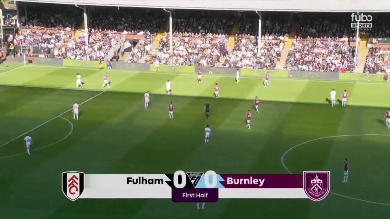 zaslepka skrotu video