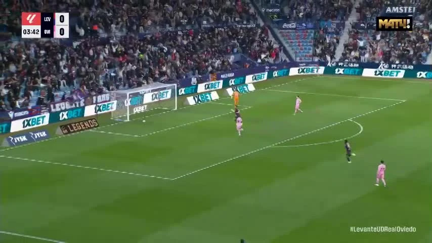 zaslepka skrotu video