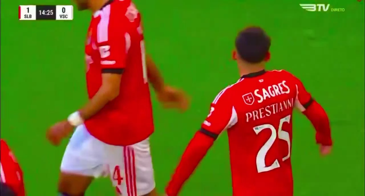 zaslepka skrotu video