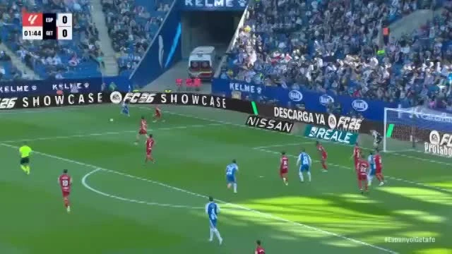 zaslepka skrotu video