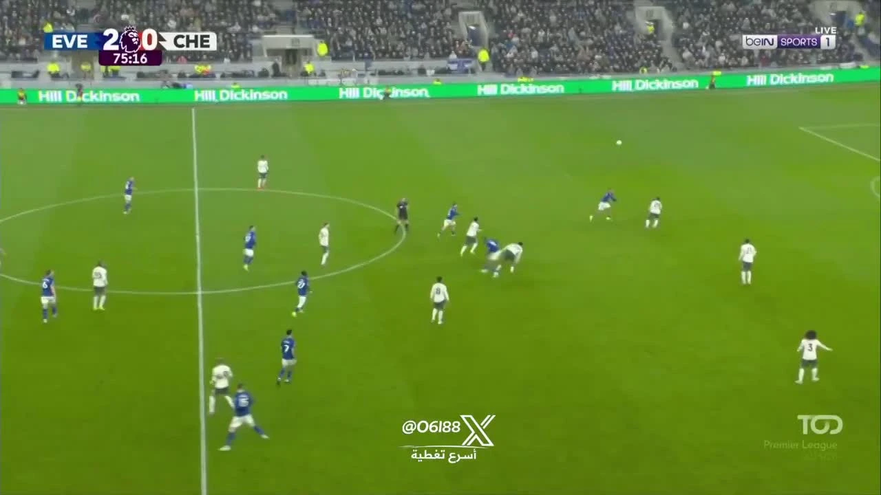 zaslepka skrotu video