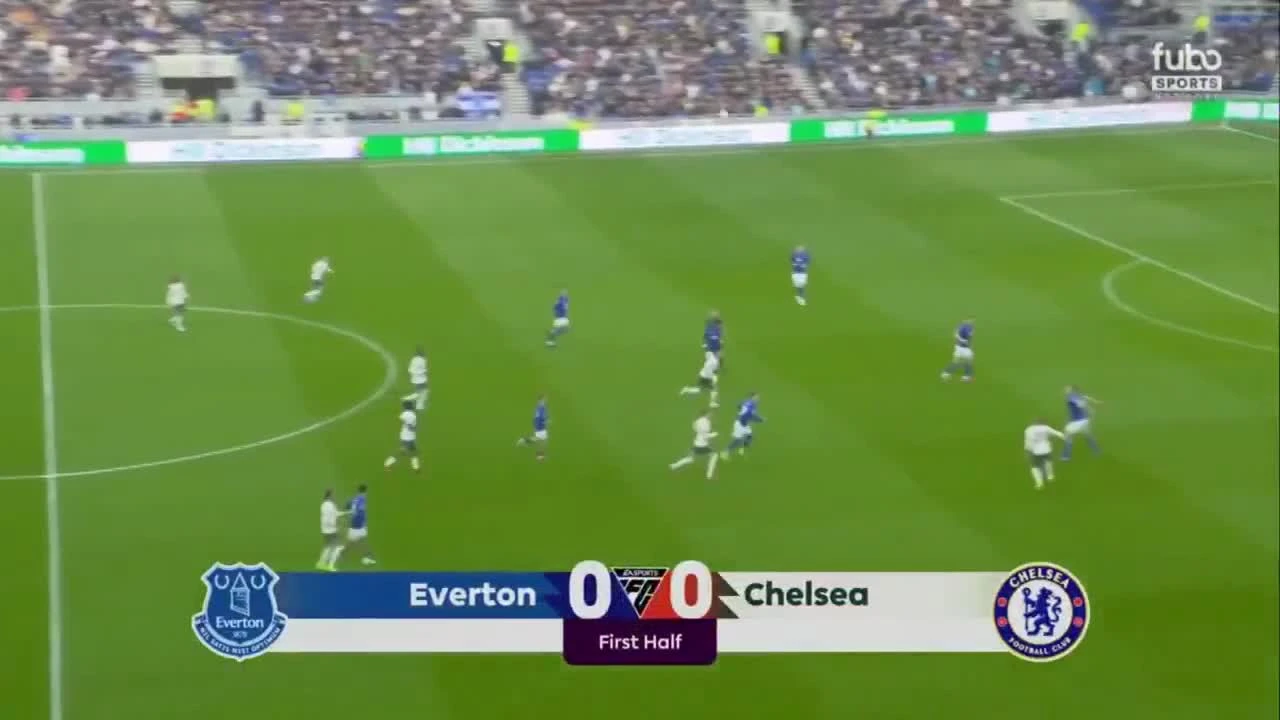 zaslepka skrotu video