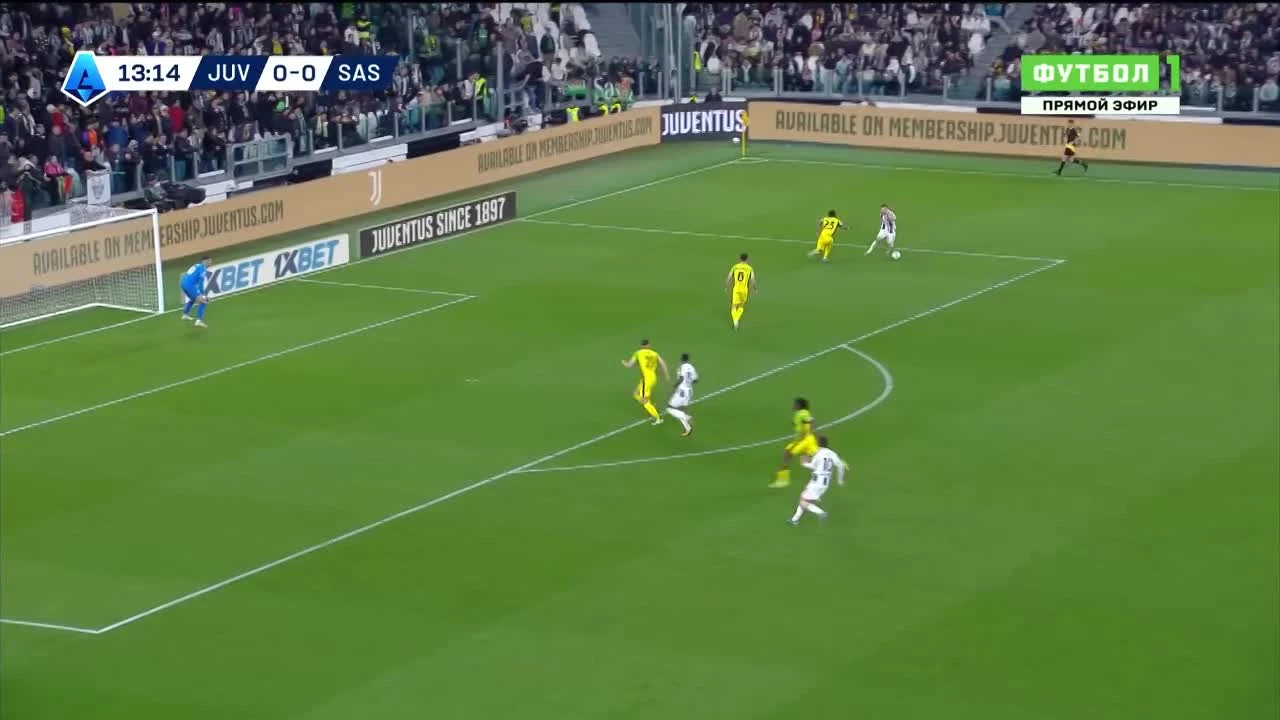 zaslepka skrotu video