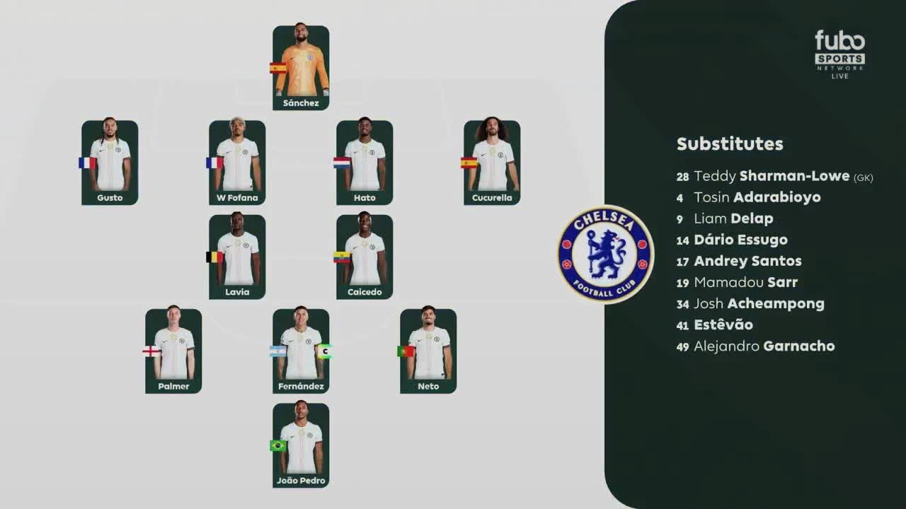 zaslepka skrotu video