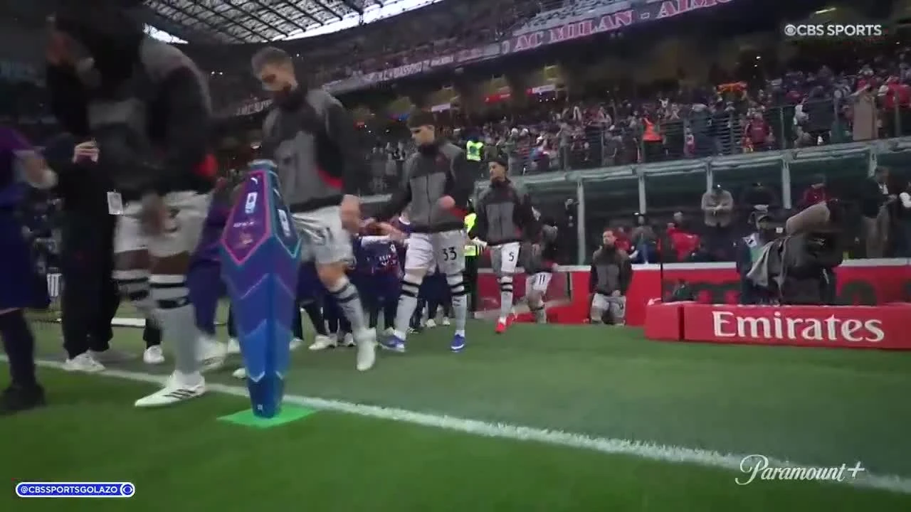 zaslepka skrotu video