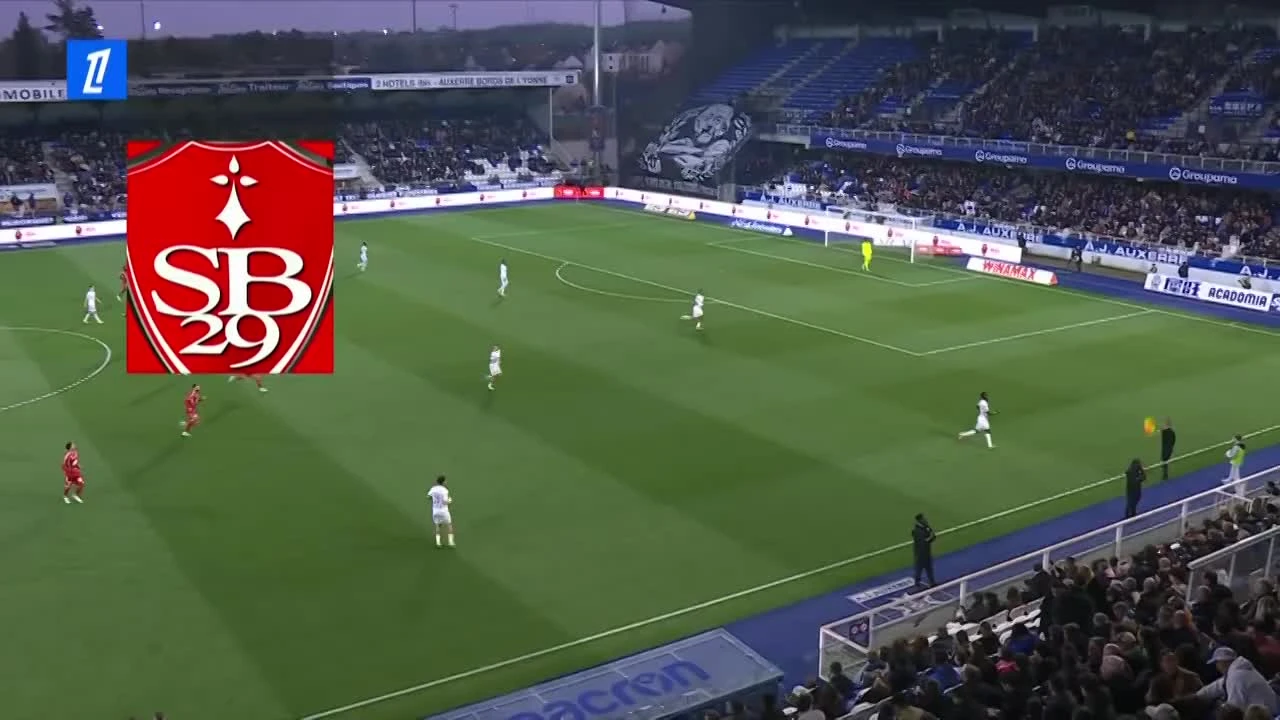 zaslepka skrotu video