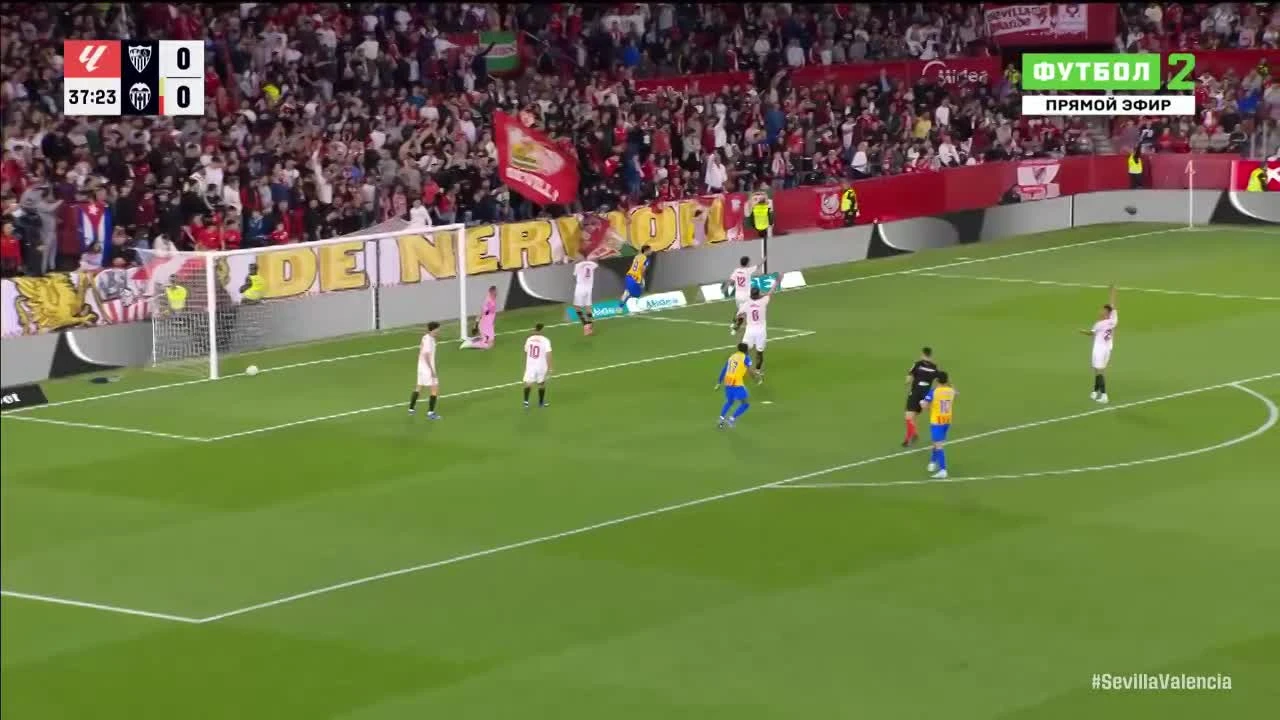 zaslepka skrotu video