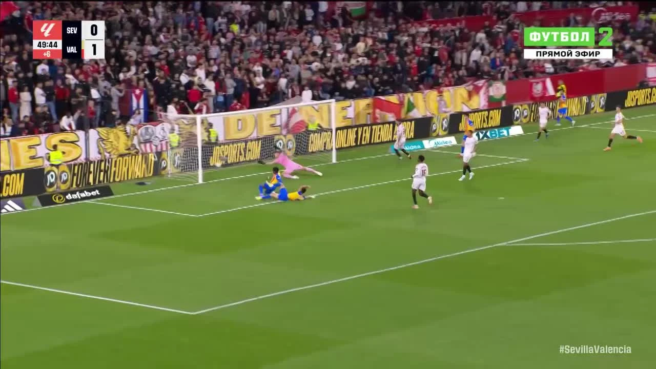 zaslepka skrotu video