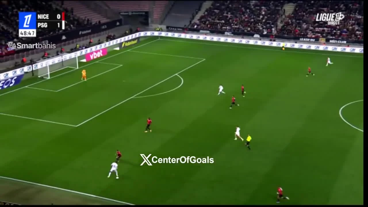 zaslepka skrotu video