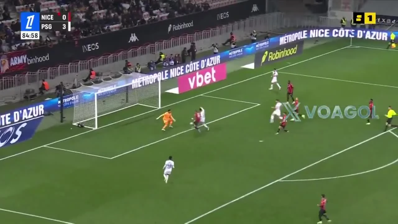 zaslepka skrotu video