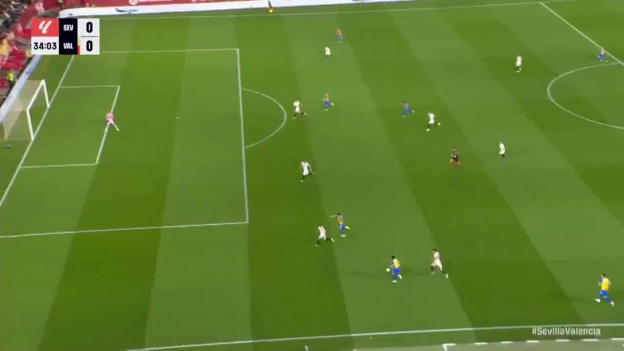 zaslepka skrotu video