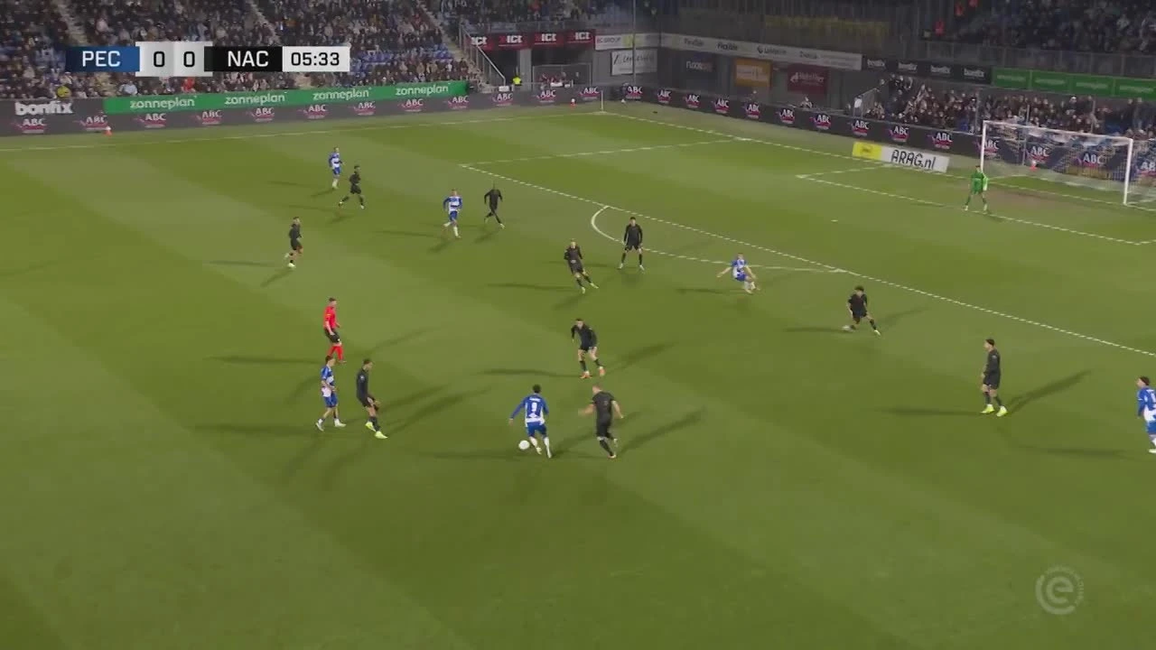 zaslepka skrotu video