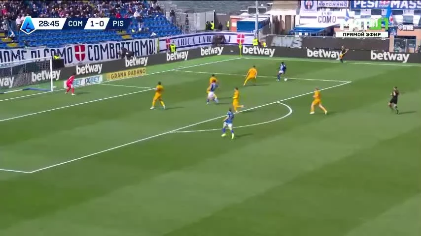 zaslepka skrotu video