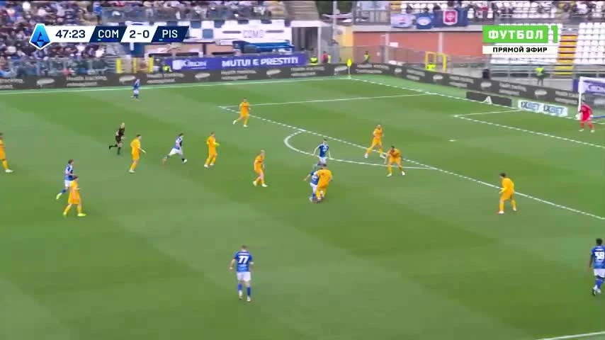 zaslepka skrotu video