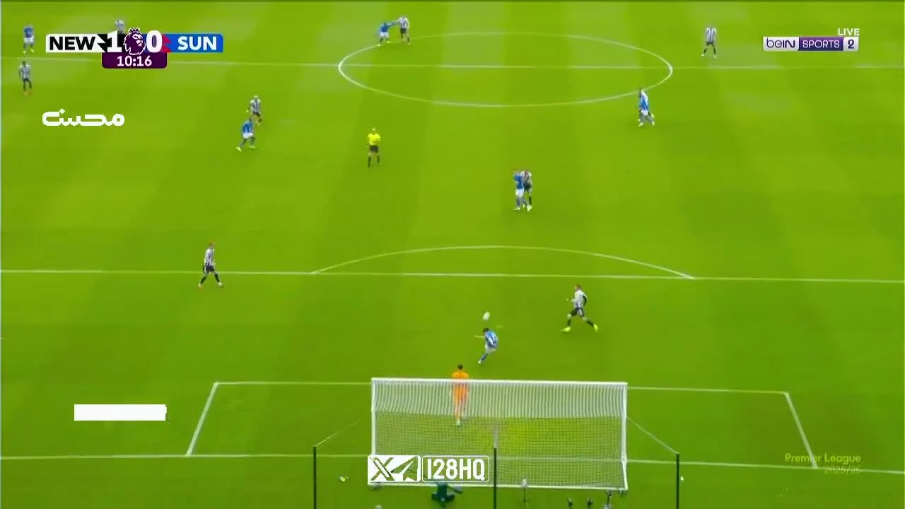 zaslepka skrotu video